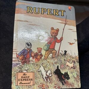 Rupert Adventure Book - Multicolor